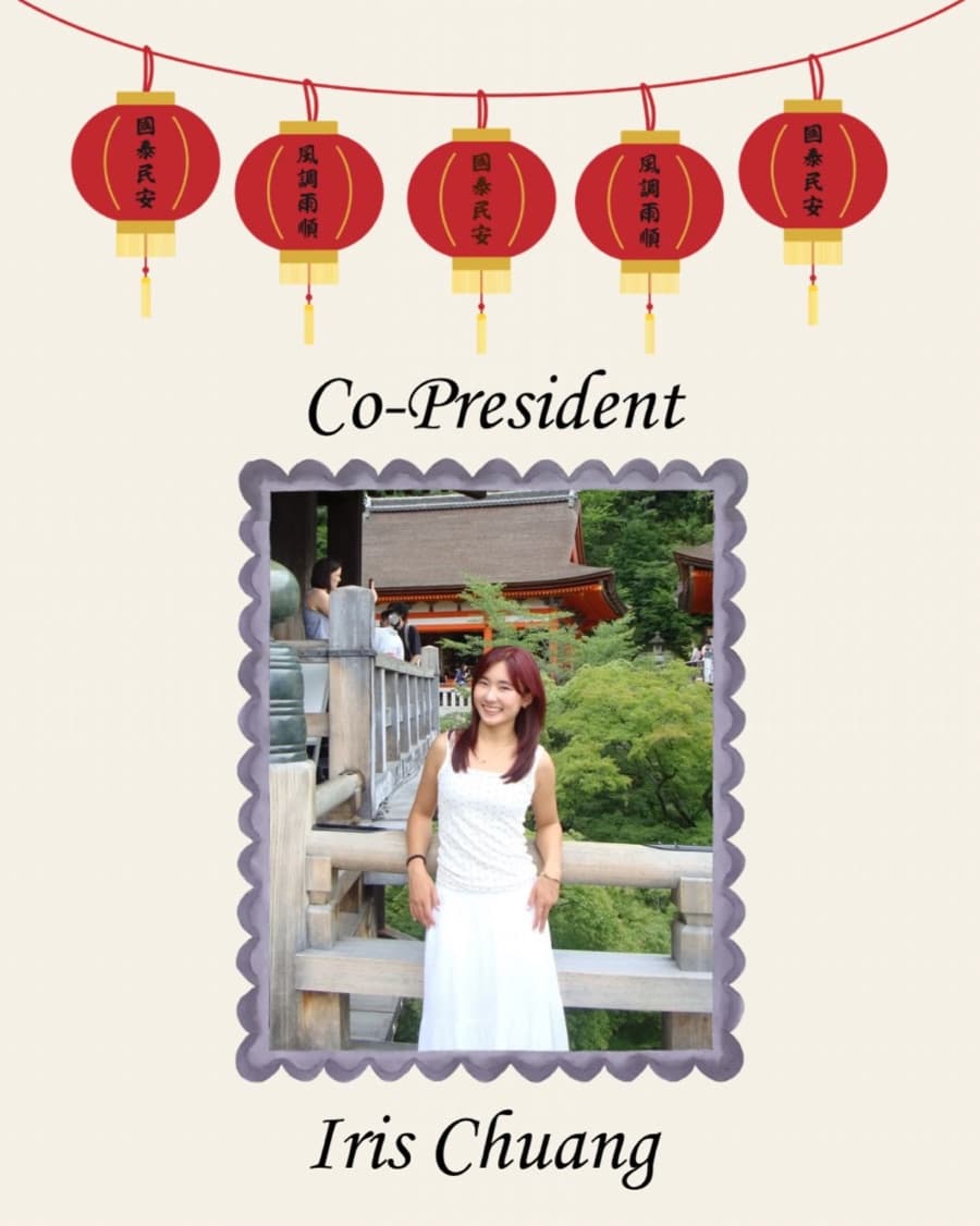 Iris Chuang, Co-President